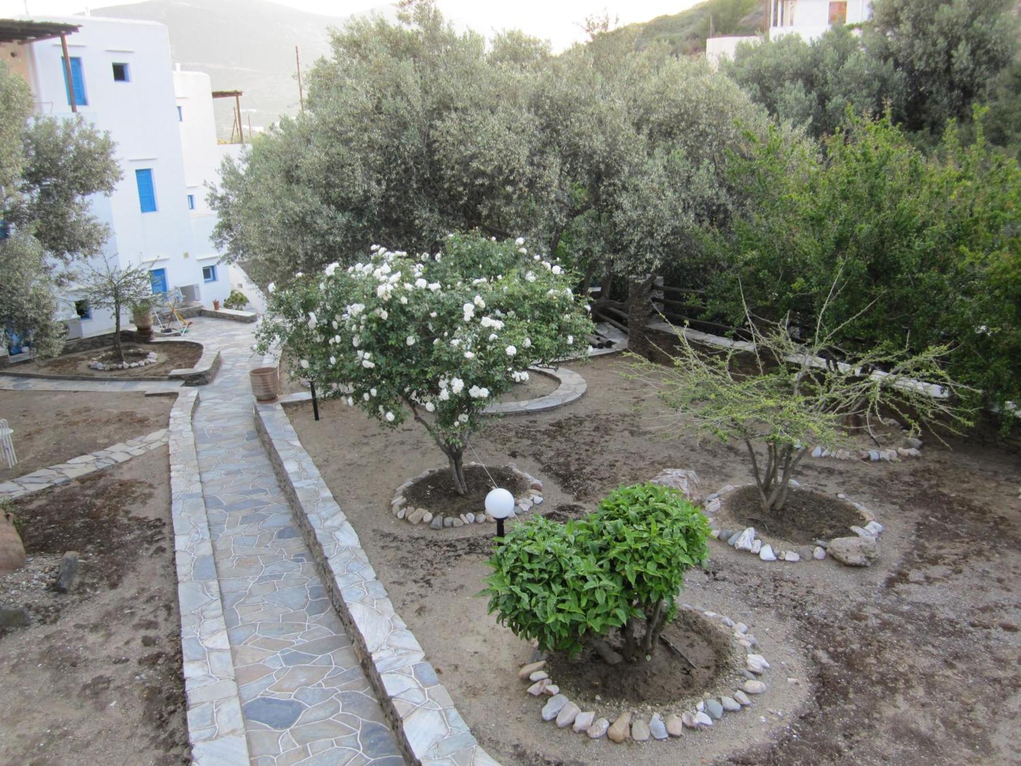 Alexandros Hotel Platis Gialos  Eksteriør bilde