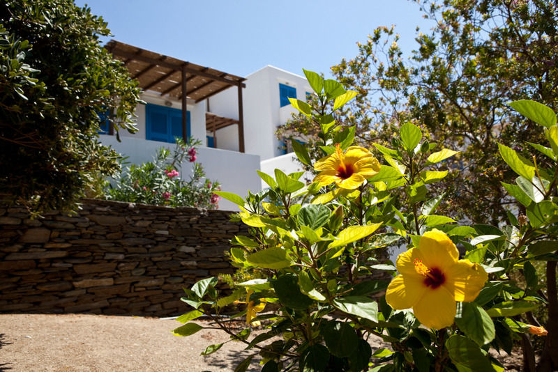 Alexandros Hotel Platis Gialos  Eksteriør bilde
