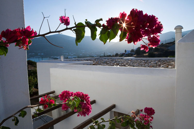 Alexandros Hotel Platis Gialos  Eksteriør bilde
